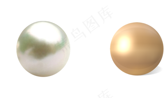 贝壳珍珠图片免抠png透明图层素材