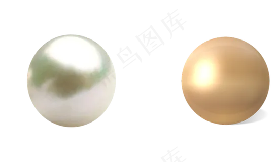 贝壳珍珠图片免抠png透明图层素材