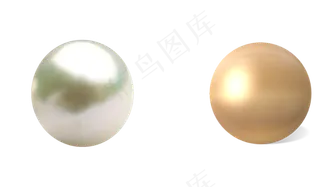 贝壳珍珠图片免抠png透明图层素材