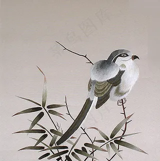 绣花 平针绣 中国风 植物 竹 免...