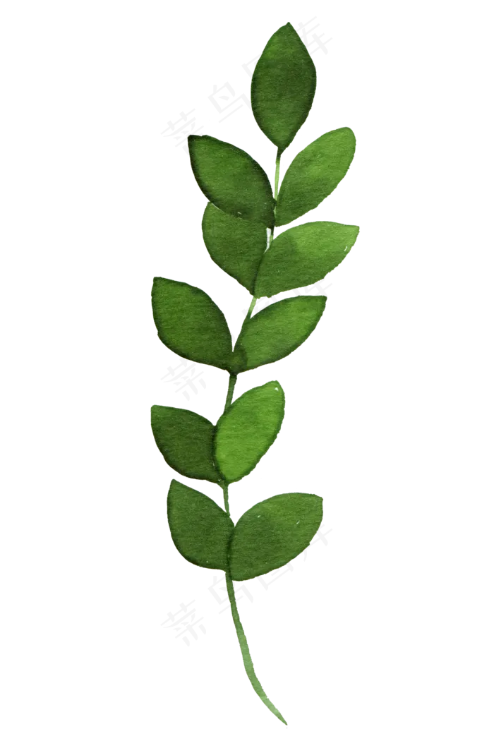 绿色树藤装饰边框海报PNG素材(1575X2362)