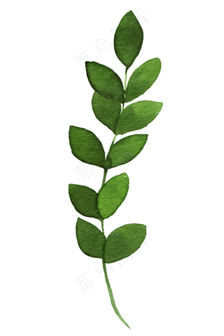 绿色树藤装饰边框海报PNG素材