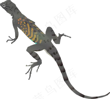 蜥蜴变色龙爬行动物海报PNG素材