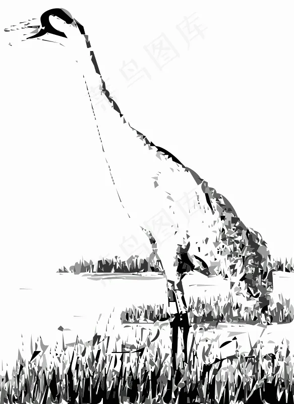 沙丘鹤