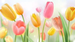 花卉装饰画简约风格客厅餐厅装饰画