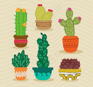 卡通多肉卡通热带花卉植物盆栽仙人掌...