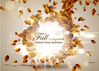 秋天的树叶图形设计矢量素材二