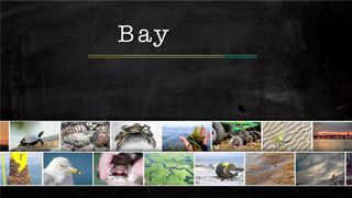 空气污染视频素材