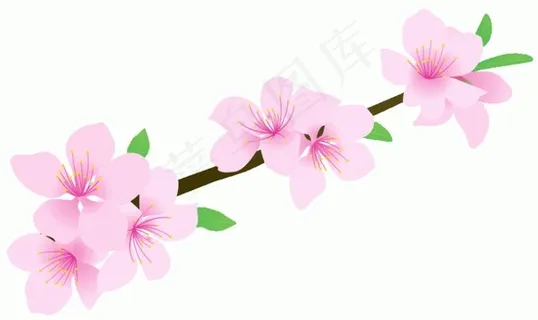 桃花图片