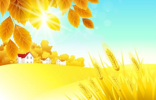 秋天的金黄色背景矢量05
