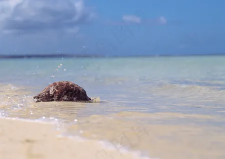 海滩上杂物图片
