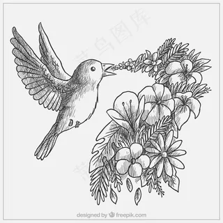 花鸟矢量图