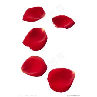 红色花瓣漂浮元素 红色花瓣漂浮元素