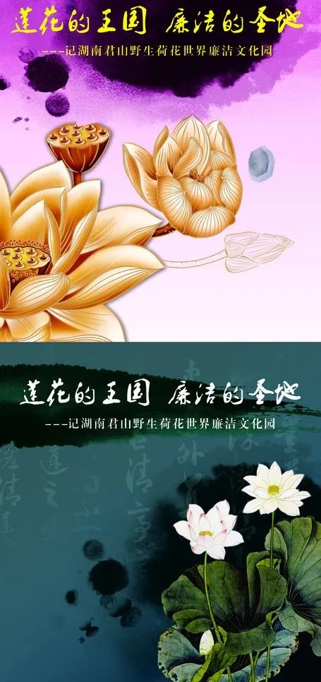 荷花图片(210X297)cdr矢量模版下载