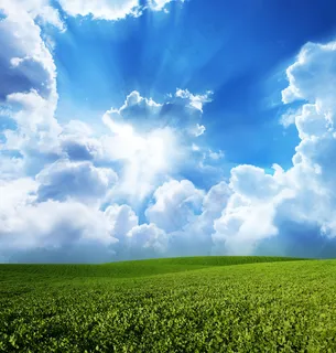 草坪上的天空图片