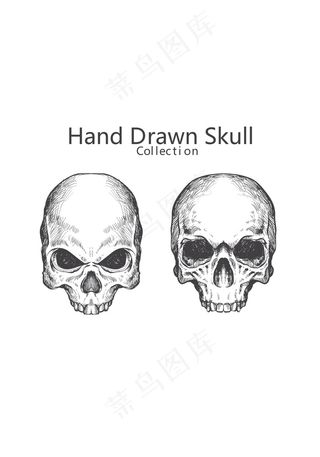 手绘恐怖骷髅头插画