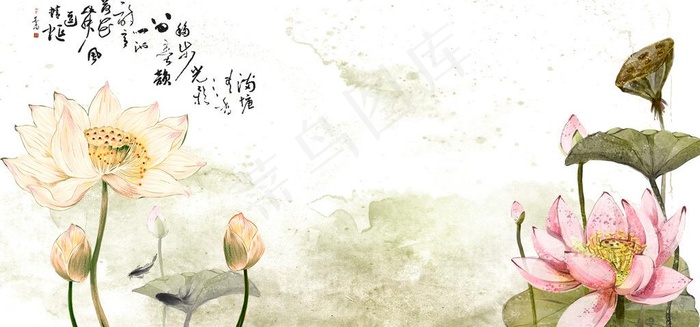 水墨 荷花图片