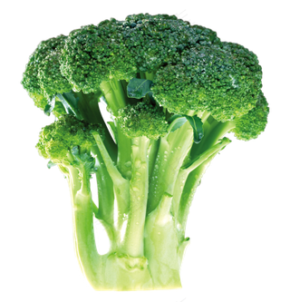 50款青菜白菜蔬菜海报PNG素材大...