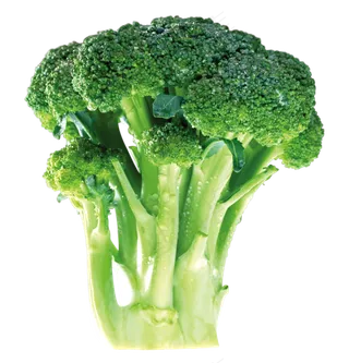 50款青菜白菜蔬菜海报PNG素材大...