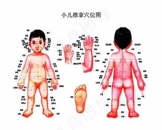小儿推拿全身穴位图psd素材下载