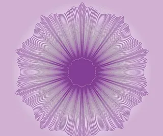 文凭毕业证书防伪花纹花边图片