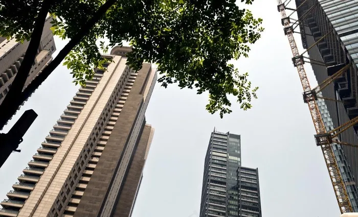 中粮海景一号图片