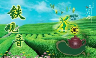 铁观音茶叶图片