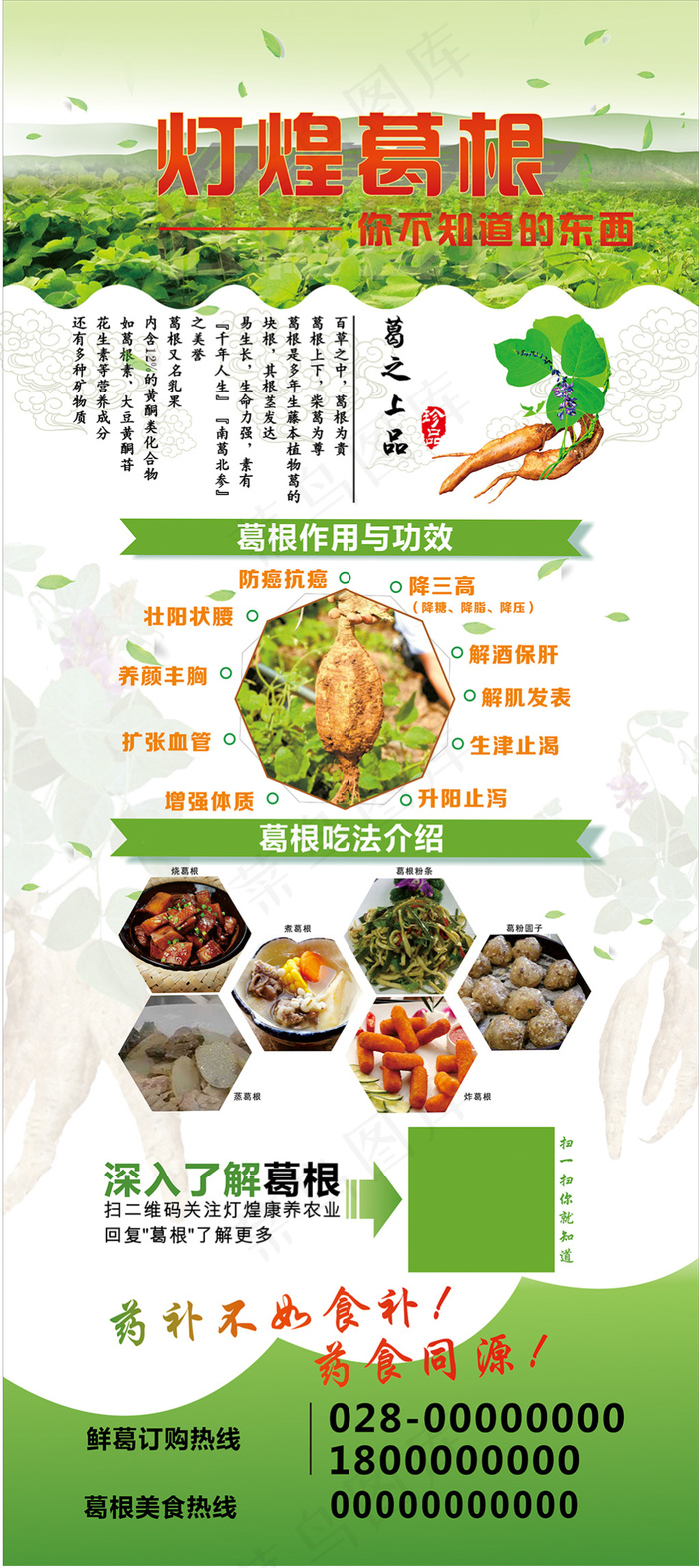 葛根展架上传(210X297)cdr矢量模版下载