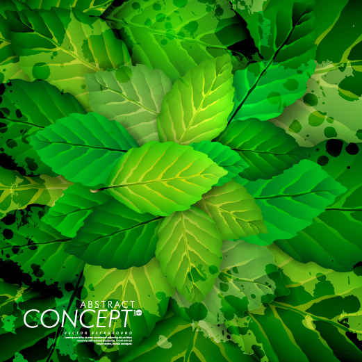 夏季翠绿树叶矢量素材