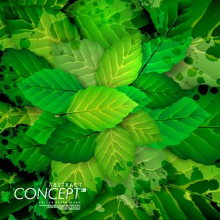 夏季翠绿树叶矢量素材