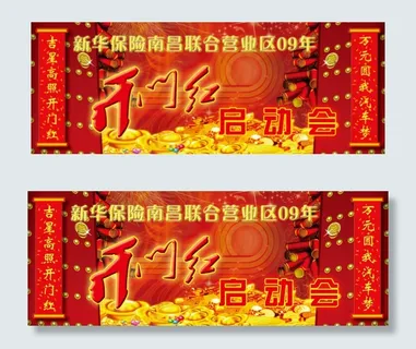 新华保险 新华保险