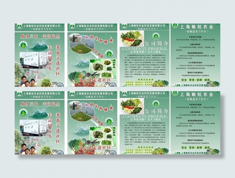 蔬菜 海报图片(210X297)cdr矢量模版下载