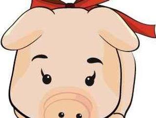 韩国猪年生肖EPS矢量图43