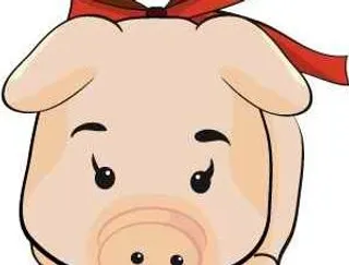 韩国猪年生肖EPS矢量图43