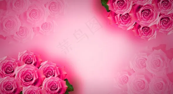 原创玫瑰花高清模板图片