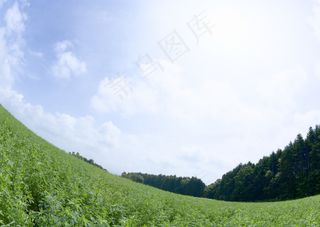 草原背景高清图片