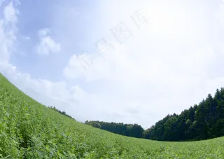 草原背景高清图片