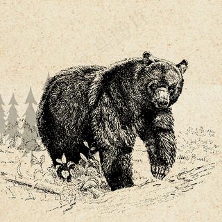 北欧简约美克美家抽象动物工笔画