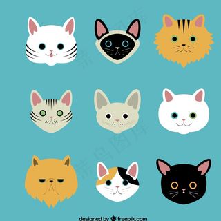 卡通猫咪头像图片