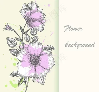 手绘鲜花刺绣图片