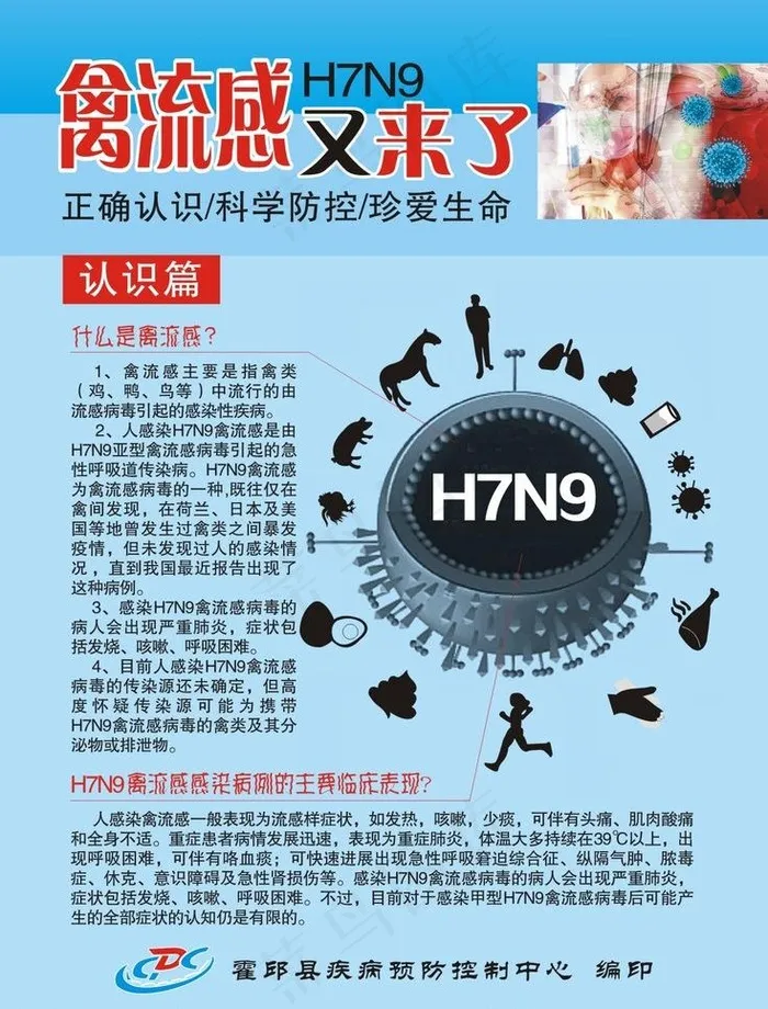 禽流感h7n9图片cdr矢量模版下载