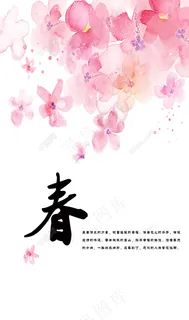 春天花朵 春天花朵