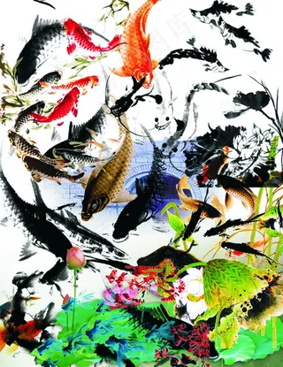 水墨鱼荷花图片