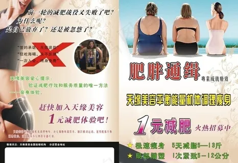 美容减肥 宣传单图片 美容减肥 宣传单图片