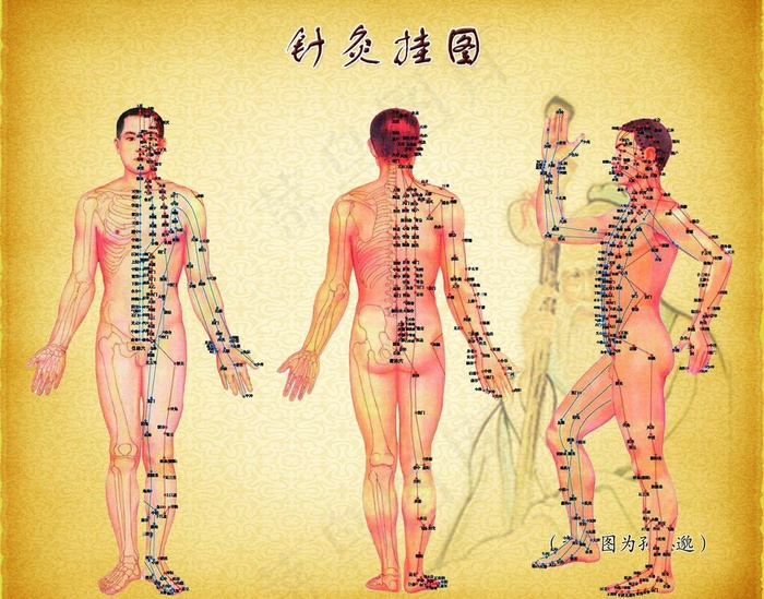 中医（分层不细）（实际像素下非高清...