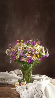 菊花高清摄影图片 菊花高清摄影图片