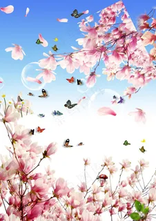 樱花蝴蝶素材PSD下载 樱花蝴蝶素材PSD下载