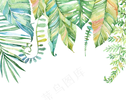 手绘树叶唯美素材