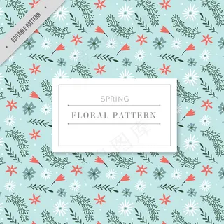 美丽的春天花卉图片