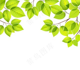 现代简约阳光下的绿叶电视背景墙